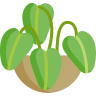 service icon